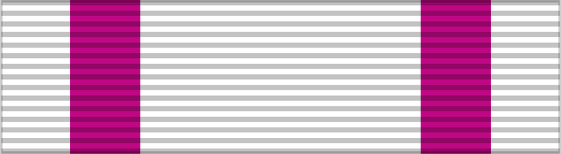 File:Honours Austria Order of Elizabeth.png