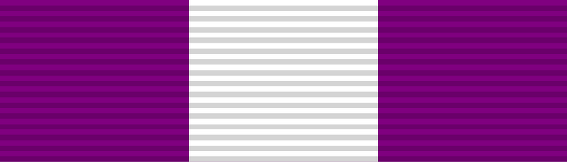File:Honours Spain Order of Queen Maria Luisa.png