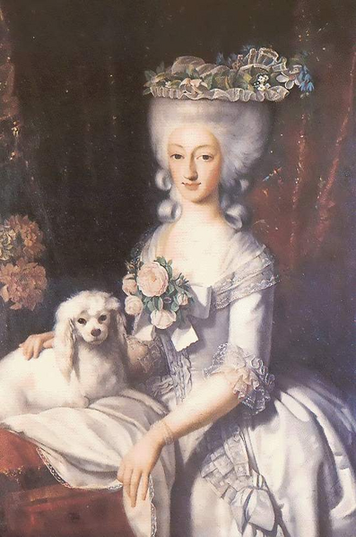 File:Savoy Maria Anna 1757.png
